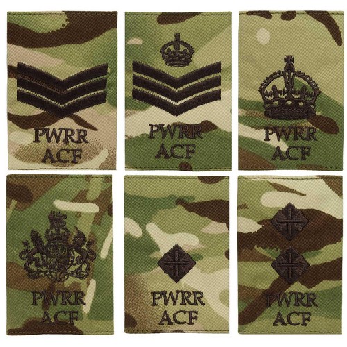 Pwrr acf mtp adult - mtp, slides
