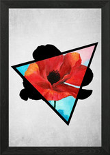 Poppy Dreams Triangle Framed