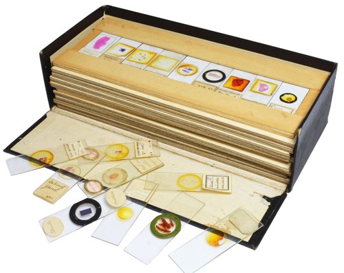 Antique microscope slides - antique,