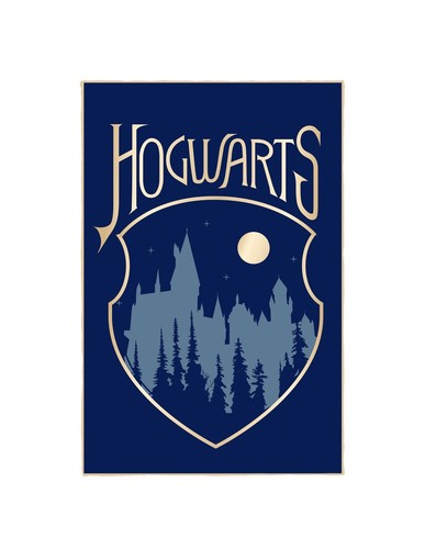 Harry potter hogwarts - hogwarts, fleece