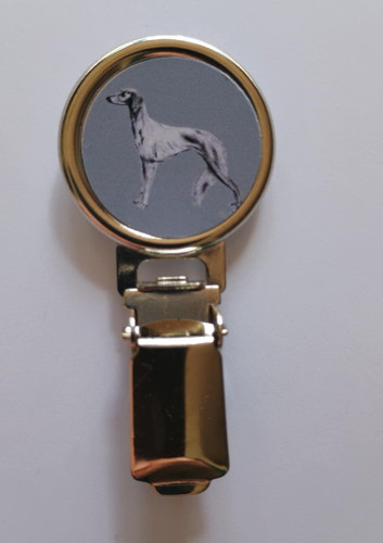 Saluki dog show - saluki, ring