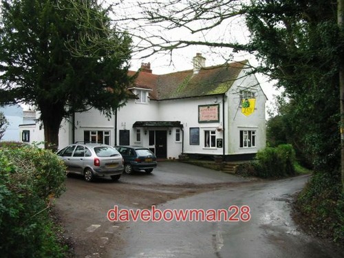 Photo the yew tree at - yew,