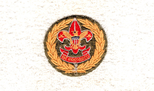 Bsa scouts asst - bsa,