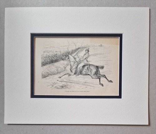 Davenport steady canter - davenport,