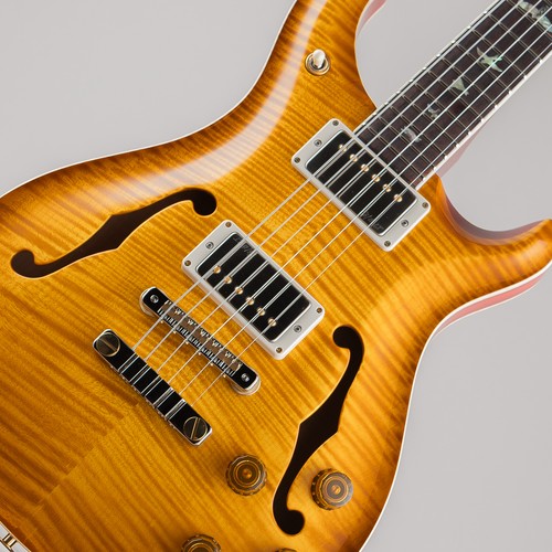 Paul reed smith - paul, prs