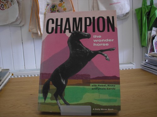 Champion the wonder horse - horse, with