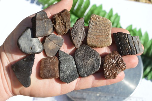 100g mixed british found - mixed,