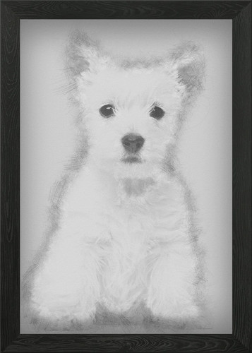 West highland terrier pupp - west,