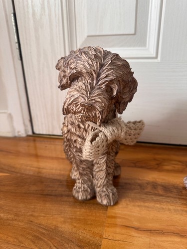 Next charlie the cockapoo dog - charlie,