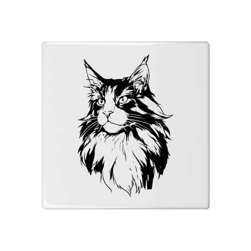 Maine coon cat - 'maine,
