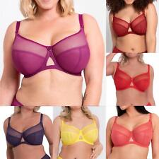 Curvy Kate Lingerie Victory