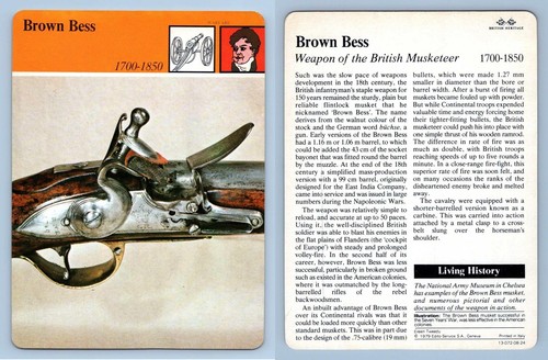 Brown bess warfare - brown,