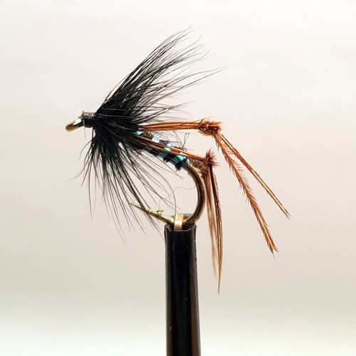 Black hopper fly fishing - hopper,