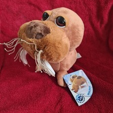 Ocean Buddies Walrus New with