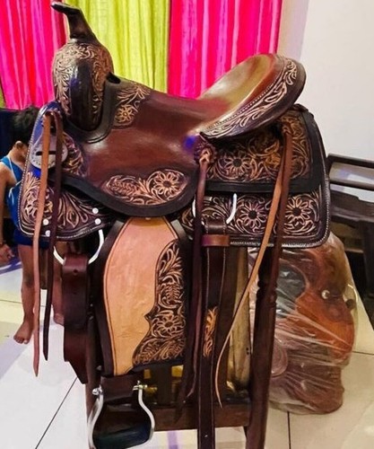 Pleasure trail racing horse - racing,