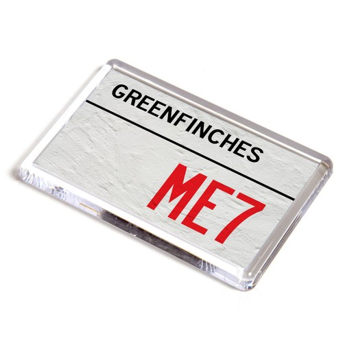 Fridge magnet greenfinches - fridge,