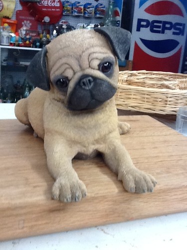 Danbury mint lil - danbury, pug