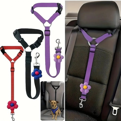 Anti shock dog - anti,