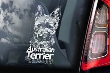 Australian Terrier Dog