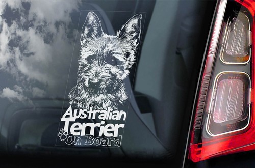 Australian terrier dog - australian,