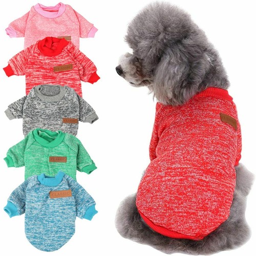 Pet dog cat winter - dog, warm