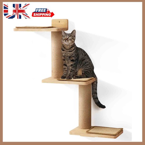 Cat climbing shelf - shelf, wall