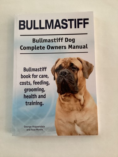Bullmastiff dog - bullmastiff.,