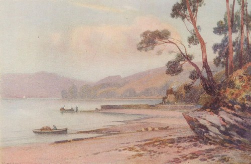 The dart near dittisham - the,