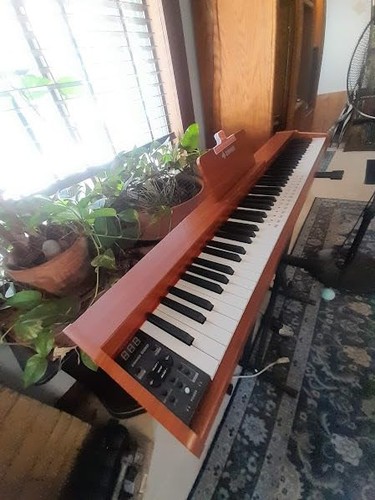 Donner dep digital piano - donner,