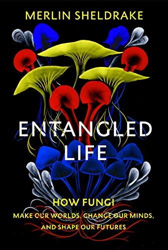 Entangled life how fungi - entangled, make