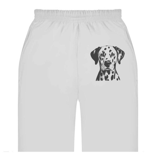 Dalmation dog portrait adult - portrait',