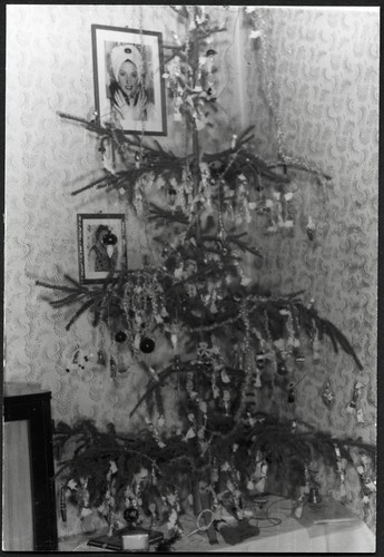 Christmas tree photographs - christmas, w