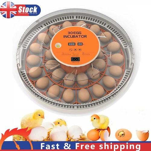 Egg incubator automatic - incubator,
