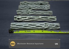 1pcs Large Cholla Cactus Wood