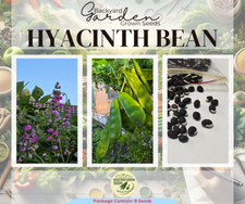 Organic Hyacinth Bean Shim