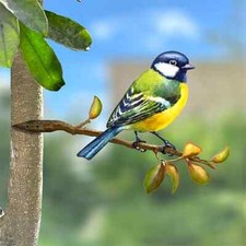 Colourful birds branches - on,
