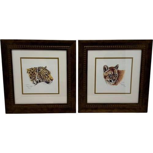 Leopard and cougar by - 'leopard',
