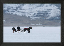 horse drawn sleigh Framed Wall