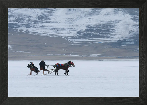 Horse drawn sleigh framed - drawn,