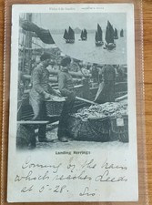 1902 Landing Herrings Fisherman Fishing Baskets Boats Fishing Life Series 