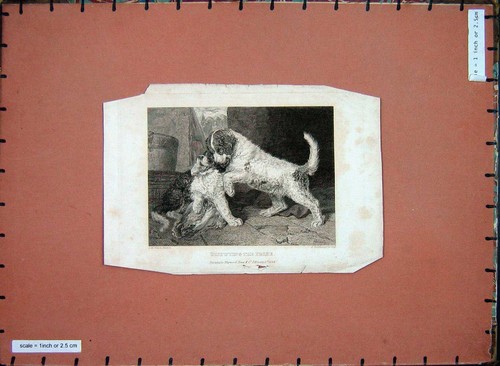 Original old antique - antique, print