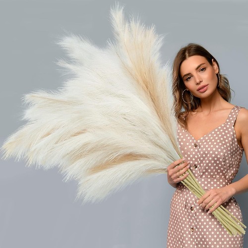 Stems pampas grass 120cm - pampas,
