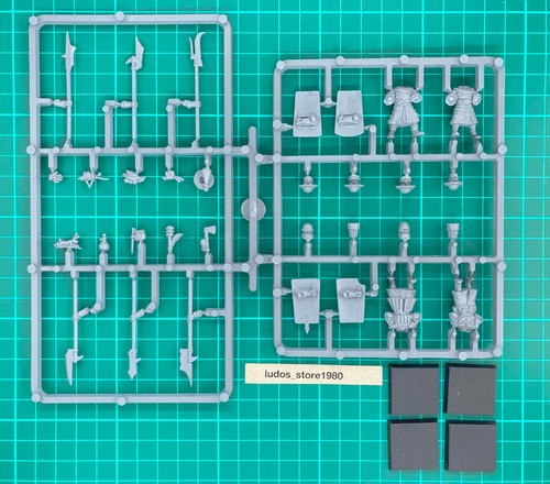 Bretonnia men arms 4 - x,