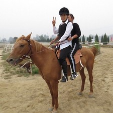 Pro Equestrian Horse Riding Body Protector Safety Zip Vest Protection Protective