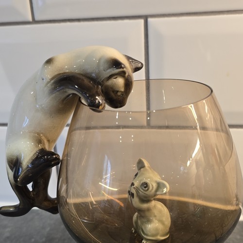Berwick siamese cat smoked - siamese,