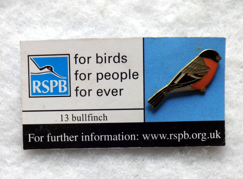 Rspb bullfinch pin - bullfinch,