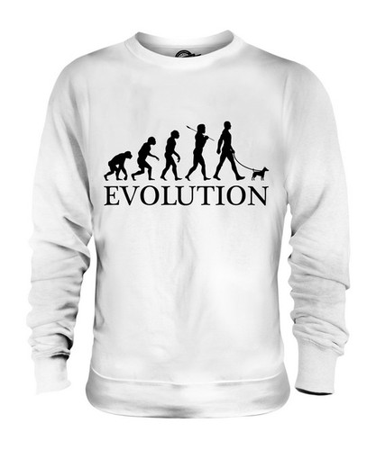 Toy fox terrier evolution - evolution, of