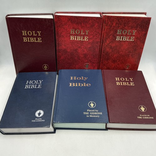 Holy bible gideons - bible,