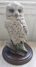 Country Artists "SNOWY OWL" -