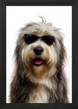 Cool polish lowland sheepdog - lowland,